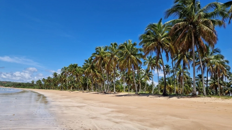 PRAIA DOS CARNEIROS E ILHA DE SANTO ALEIXO/PE